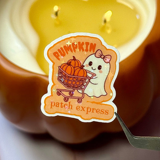 Pumpkin Ghost Express Stickerππ»